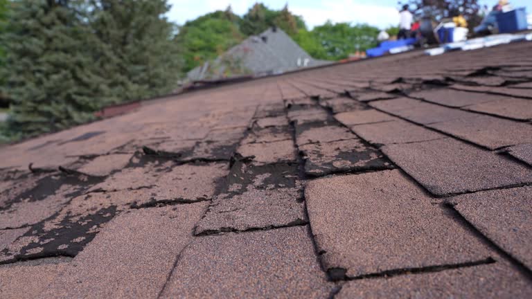 Best Roof Ventilation Installation  in Latta, SC